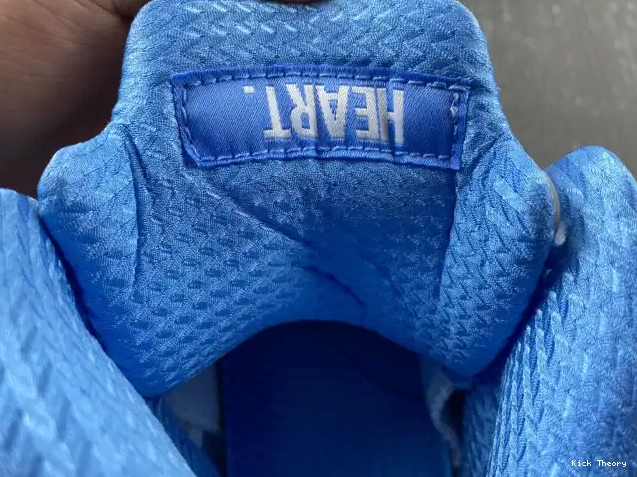Kicktheory Air UNC 5 Jordan DV1310-401 0530